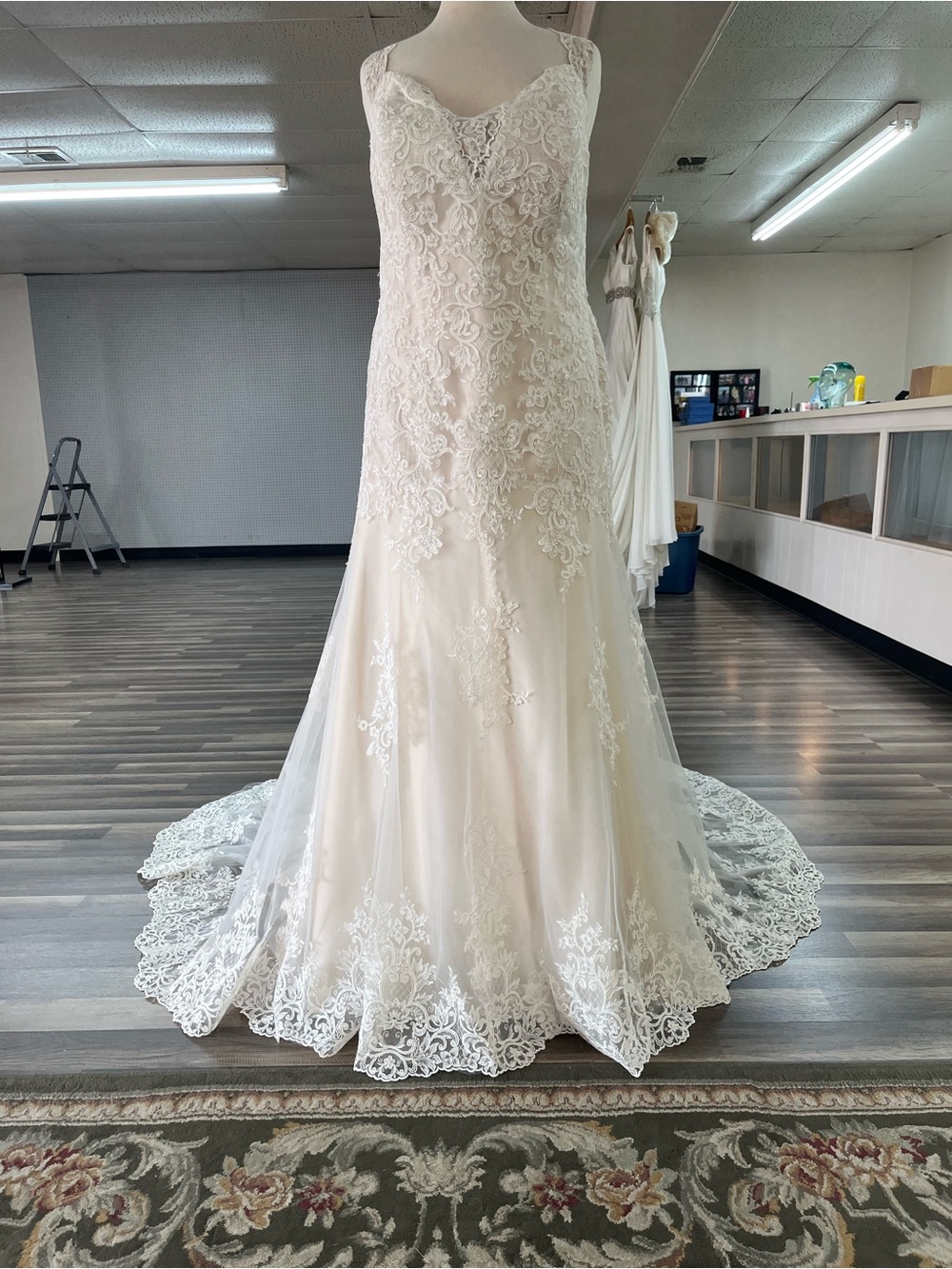 Elegant Lace Appliqué Wedding Dress - Ivory/Nude